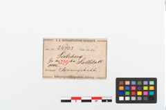 Etikett zu Bronzegehänge (NHMW-PRAE-024703)